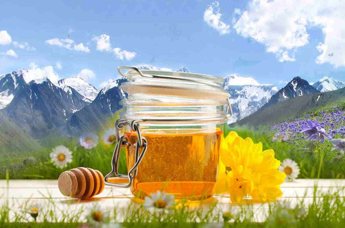 تصویر 2 از عسل کوهی گودرز تهیه شده از شهد گل های خودرو